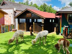 -太阳岛度假酒店