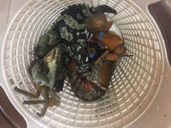 -南海渔家•海鲜•正宗海南菜(海棠湾店)