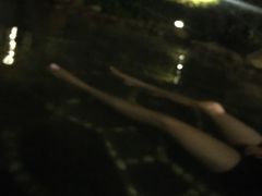 -洪湖悦兮半岛国际温泉度假村