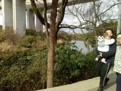 -贵阳市花溪国家城市湿地公园