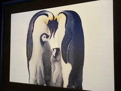 -罗红摄影艺术馆