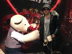 -济州岛泰迪熊博物馆