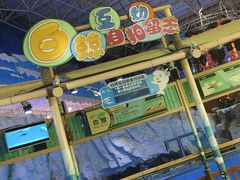 -海合安青岛极地海洋公园