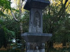 -汇龙潭