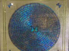 -上海昆虫博物馆