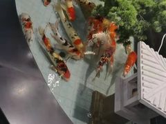 -长赢养生(平度店)