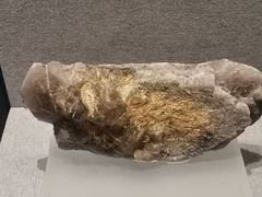 -贵州省地质博物馆