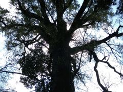-普陀山风景名胜区-法雨禅寺
