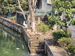 -丝绸小镇荻港古村