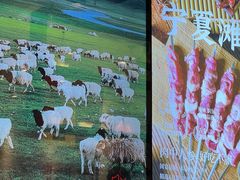 -唐力九头鸟烧烤·罗田吊锅(西云楼店)