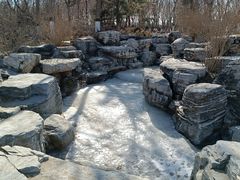 -大兴滨河森林公园