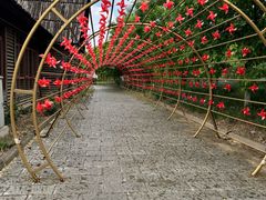 -西青郊野公园