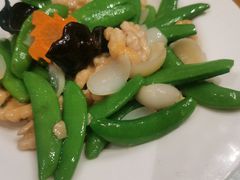 -凯鸽酒楼(操场城店)