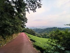 -敬亭山风景名胜区