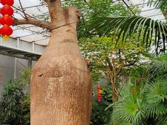 -北京植物园-展览温室