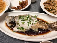 -凤凰园烤鸭店·唐山菜·传承花椒肉(老唐丰路店)