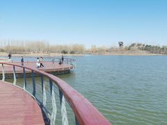 -东郊湿地公园