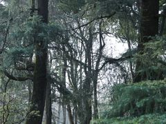 -杭州植物园