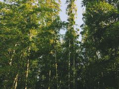 -苏州环秀晓筑养生度假村