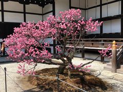 -京都御所