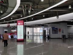 -东方体育中心(地铁站)