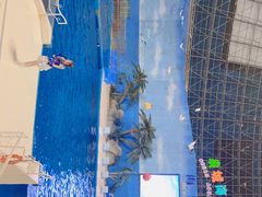 -泉城欧乐堡海洋极地世界