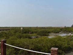 -北海金海湾红树林生态旅游区