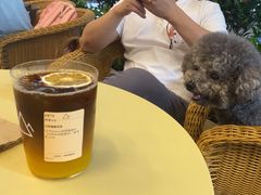 -去茶山(重庆万象城店)