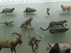 -国家自然博物馆