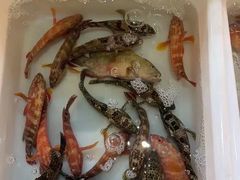 -益利大酒楼(井岸店)