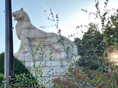 -帽儿山国家森林公园