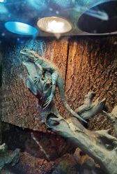 -酷嗒动物文化乐园(cutezoo西溪乐天城店)