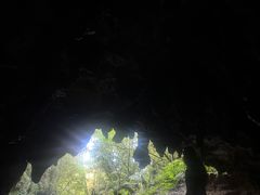 -怀托摩萤火虫洞