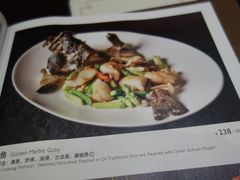 -明阁 Ming Court(广州朗豪酒店)