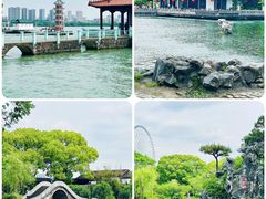 -无锡蠡湖国家湿地公园-蠡园