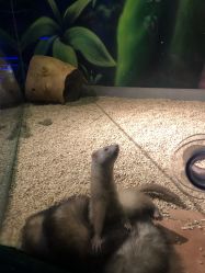 -酷嗒动物文化乐园(cutezoo西溪乐天城店)