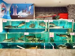 -渔意坊·千层无骨鱼粥底火锅·20年顺德菜(普君店)