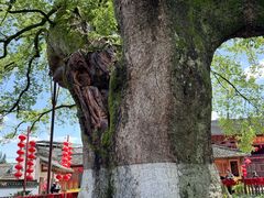 -新安江山水画廊风景区