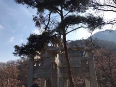 -沂蒙山旅游区云蒙景区(蒙山国家森林公园)
