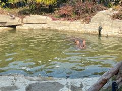-上海野生动物园