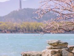 -颐和园