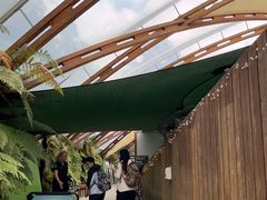 -怀托摩萤火虫洞