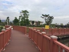-芒洲湿地公园