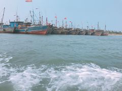 -日照世帆赛基地