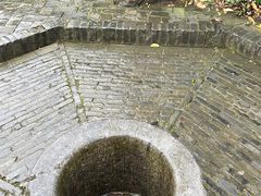 -上海佘山国家森林公园天马山园