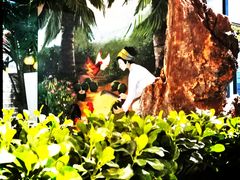 -东椰·海南椰子鸡火锅(朝阳门店)