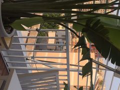 -天空花园餐吧·生日·团建(南山店)