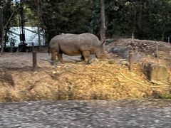 -清迈夜间动物园