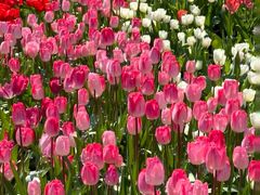 -长春公园(普阳街道)