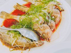 海鲈鱼-万山楼海鲜酒家·二十三年老字号